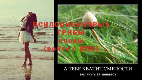 ALPHA-PVP Алексеевка