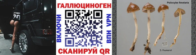 Псилоцибиновые грибы ЛСД где можно купить Пермь