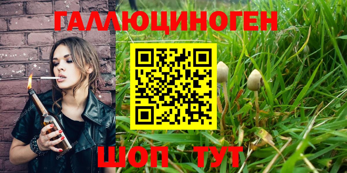 Пермь  Галлюциногенные грибы мухоморы  Вход с VPN 